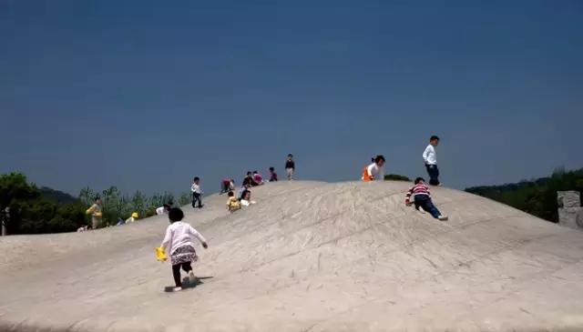 新晋网红打卡地池杉林,小红书网红打卡点