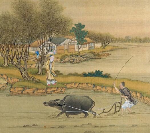 牛肉怎么煮才不老不柴,牛肉怎么煮才能软烂不柴