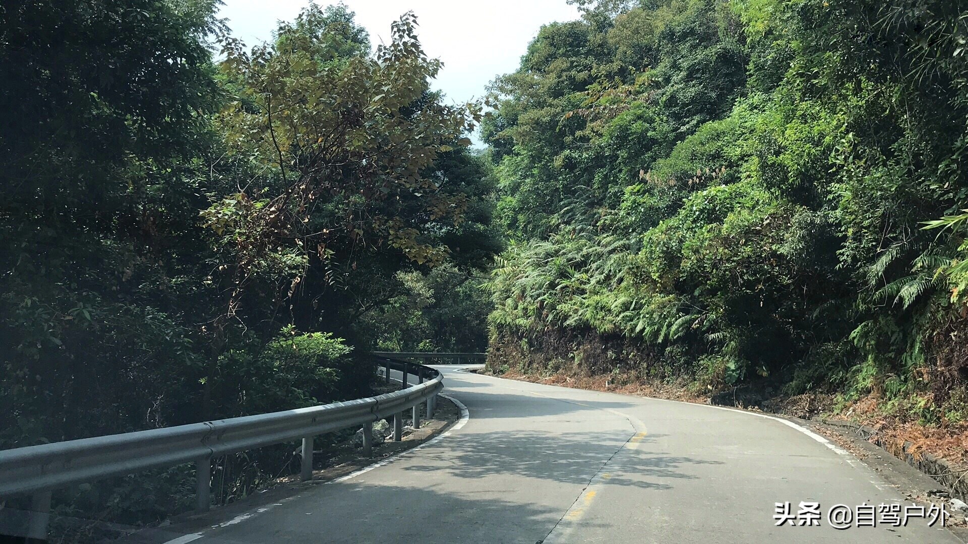 惠州明月山庄露营,罗浮山休闲竹林露营地
