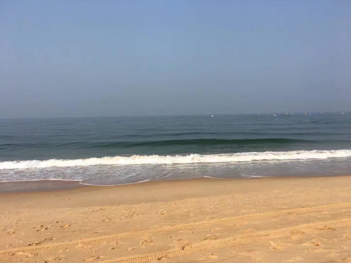 印度疫情日记2019,抗疫日记印度