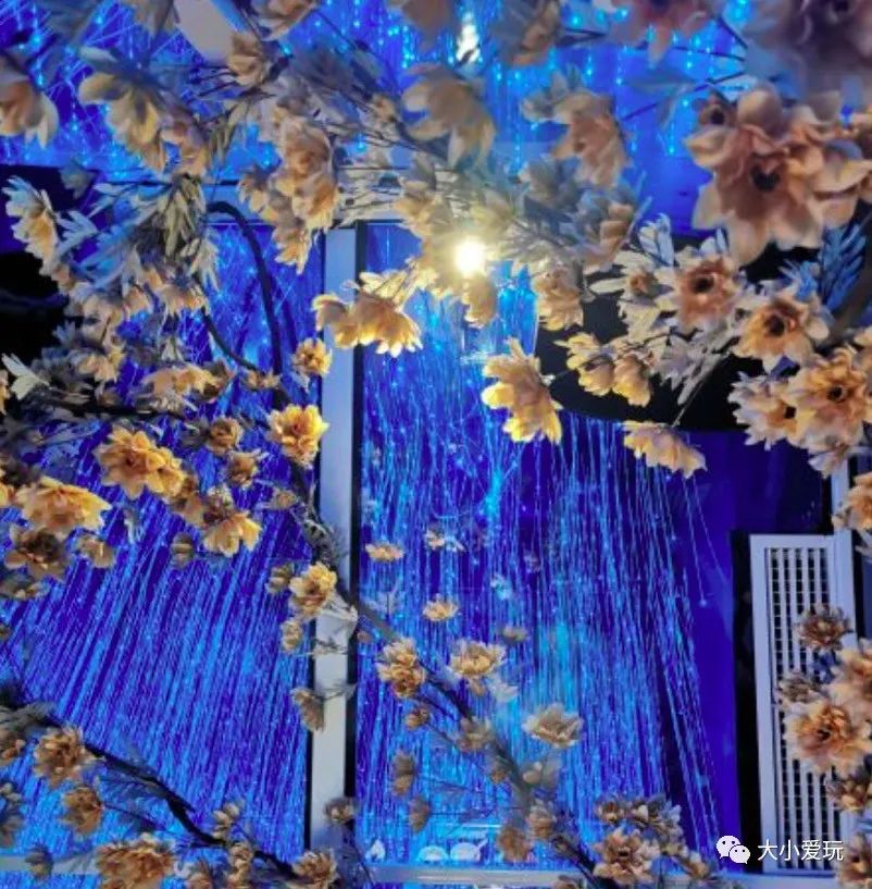 北京主题星空餐厅哪里的好,北京太空舱主题餐厅