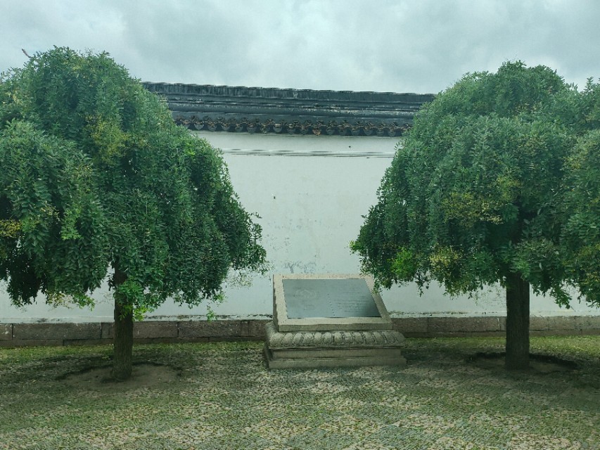 现实和画卷就隔着一扇门的距离，我推开苏州网师园的大门，流泪了