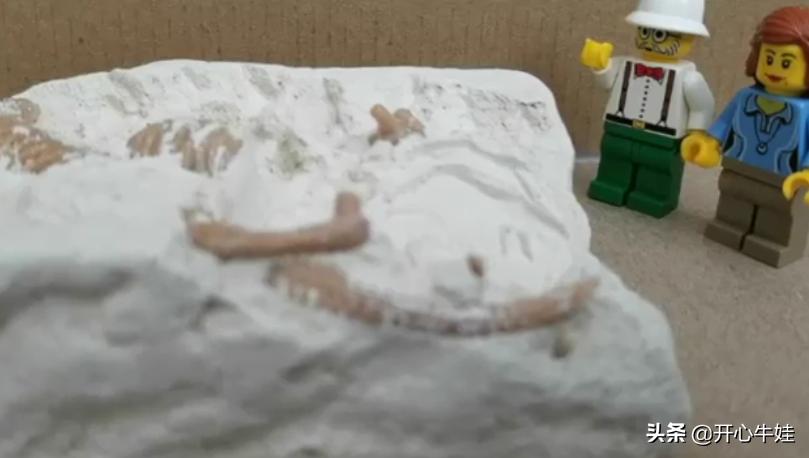 手把手教你用家中的玩具学习主题英语单词