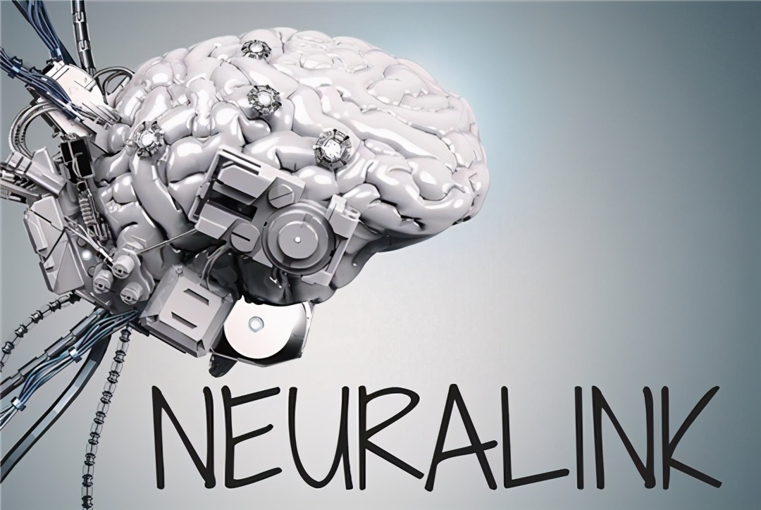 马斯克15年内培育出恐龙,埃隆马斯克复活恐龙计划