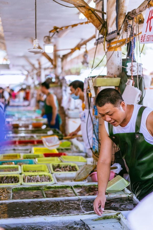广州南沙最美风景区,南沙湾区超美风景线