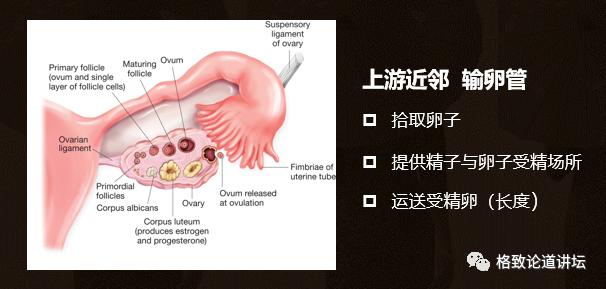 身为女人的我们如何保护好自己,作为人类我们如何保护地球