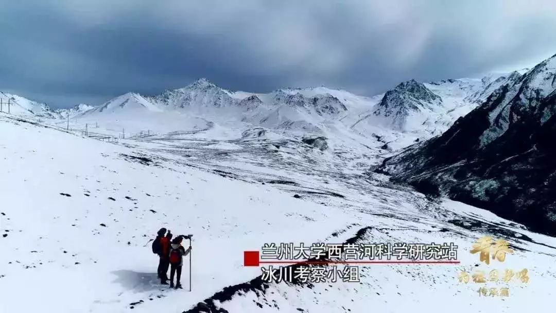 如此校长，爱上了