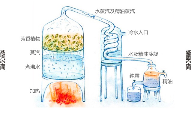 化妆品精油的功效和使用方法,精油可以当护肤品用吗