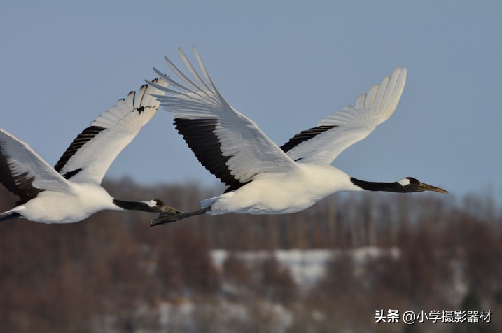 尼康180-400镜头有啥缺点,尼康长焦拍摄风景性价比高