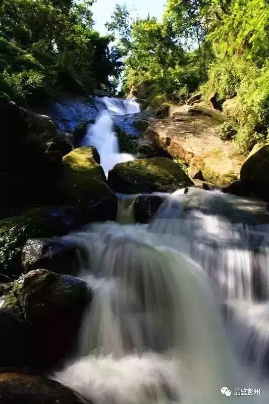 五朵金花组团出战,五朵金花齐聚的时候