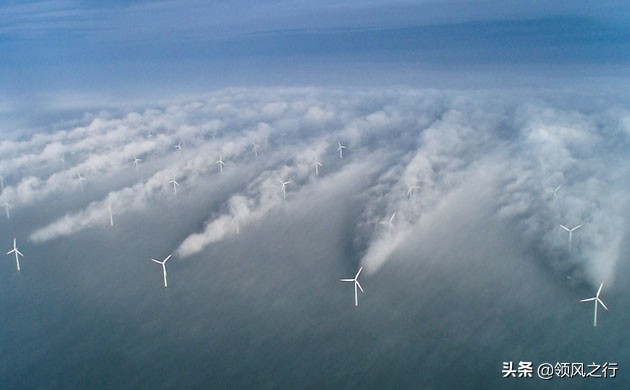 干货知识分享大热门视频,干货知识大分享