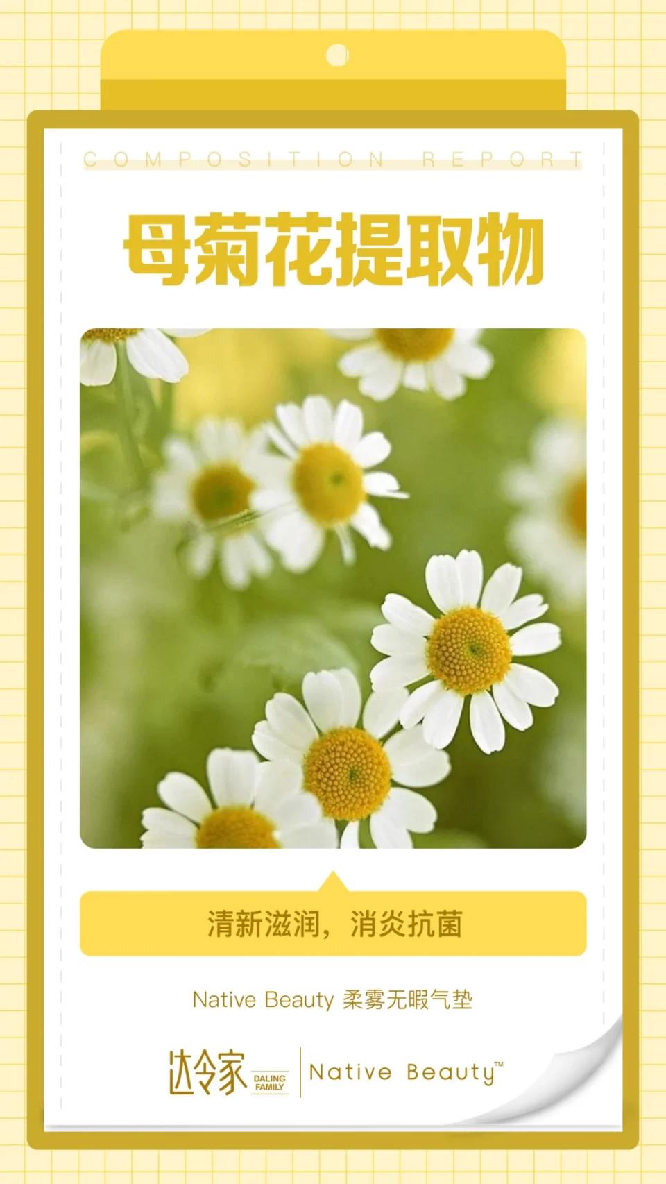 全方位体贴,达令家NativeBeauty柔雾无暇气垫比男友还周到