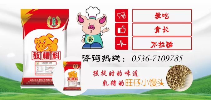 沃农播报｜11月26日毛猪价格上涨