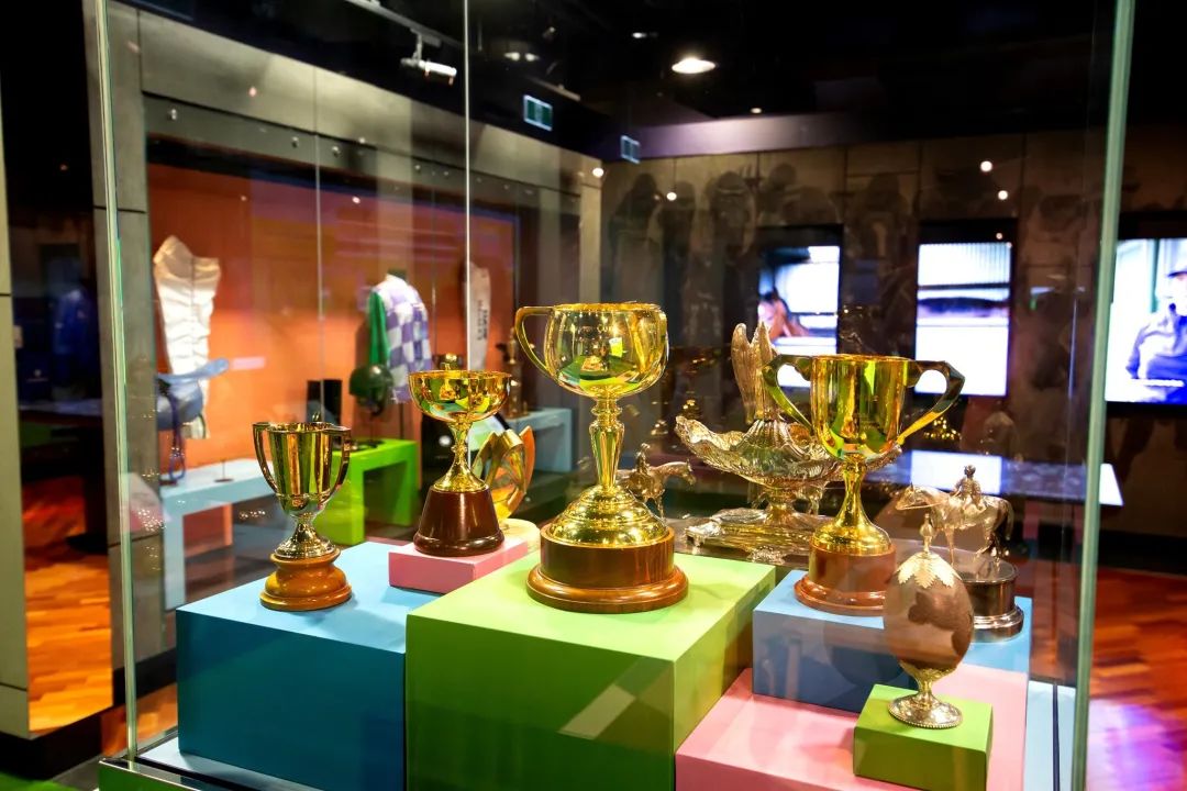 澳大利亚国家奖,澳大利亚国家体育博物馆