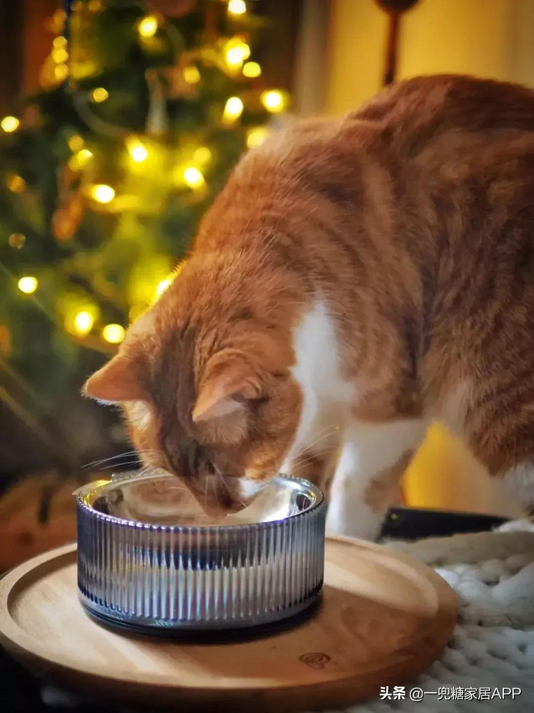 高档餐具只要亲民价格,便宜颜值又高的餐具