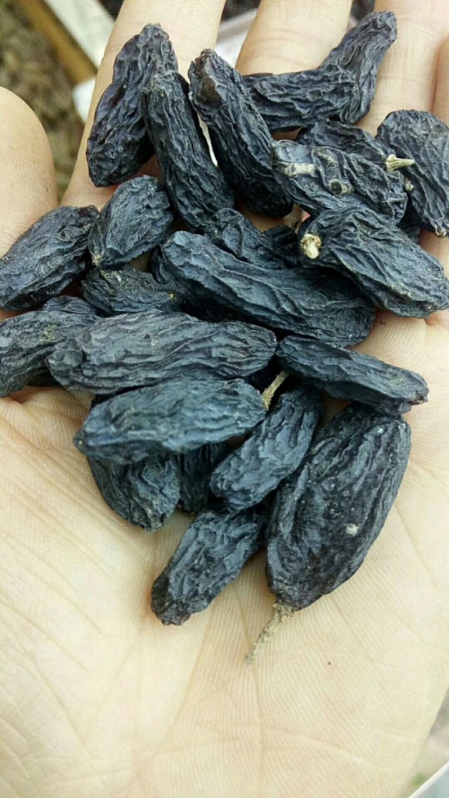 朋友们*疆新**的葡萄*你干**们知道有多少种吗？