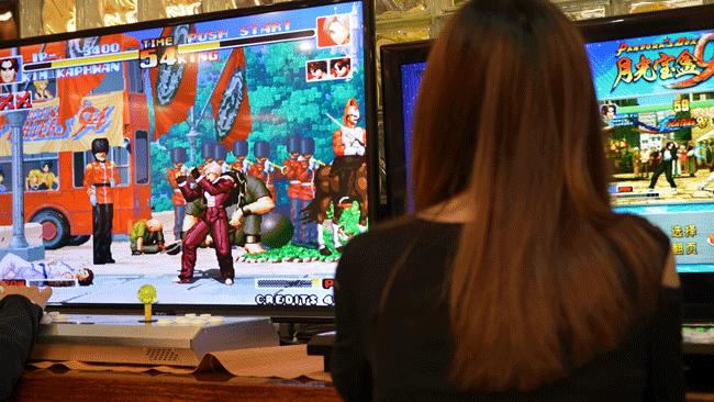 泰国鸡和缅鸡杂交后代,中泰越混血椰子鸡