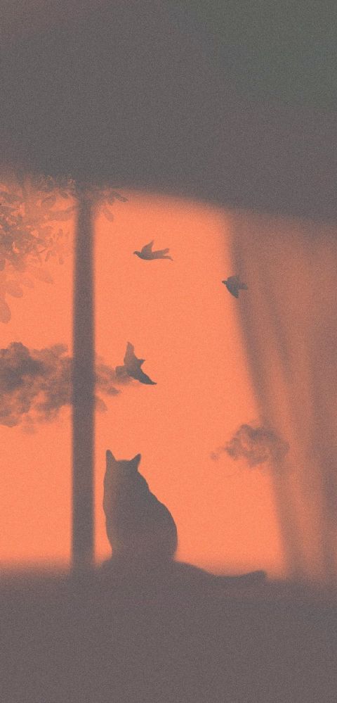 壁纸微信聊天背景图片风景,壁纸微信聊天背景图片