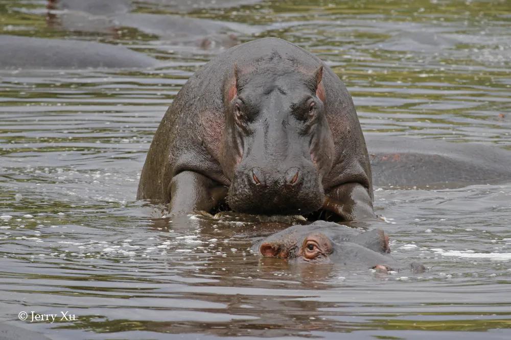 情人节，就该和爱的人*爱做**做的事