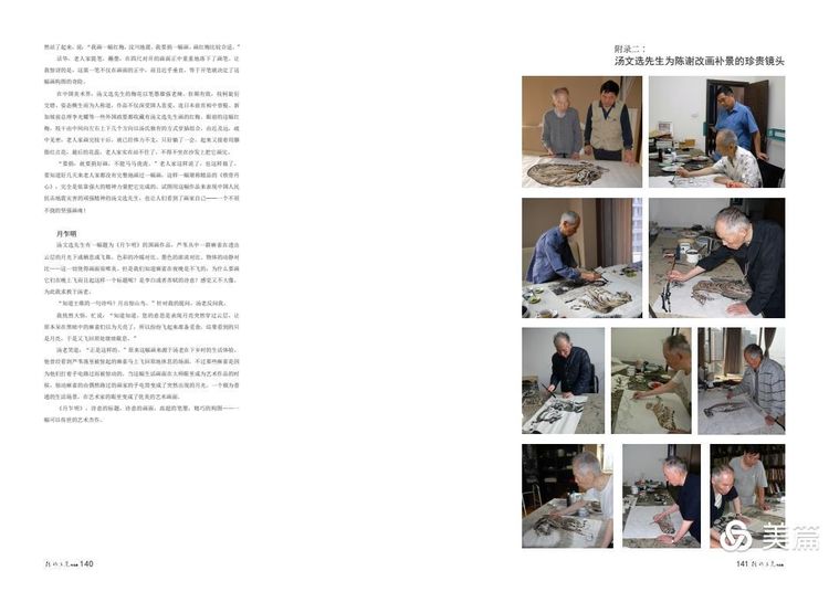 缇庝笉鑳滄敹骞寸敾浣滃搧娆ｈ祻,闄堣阿鐢昏檸