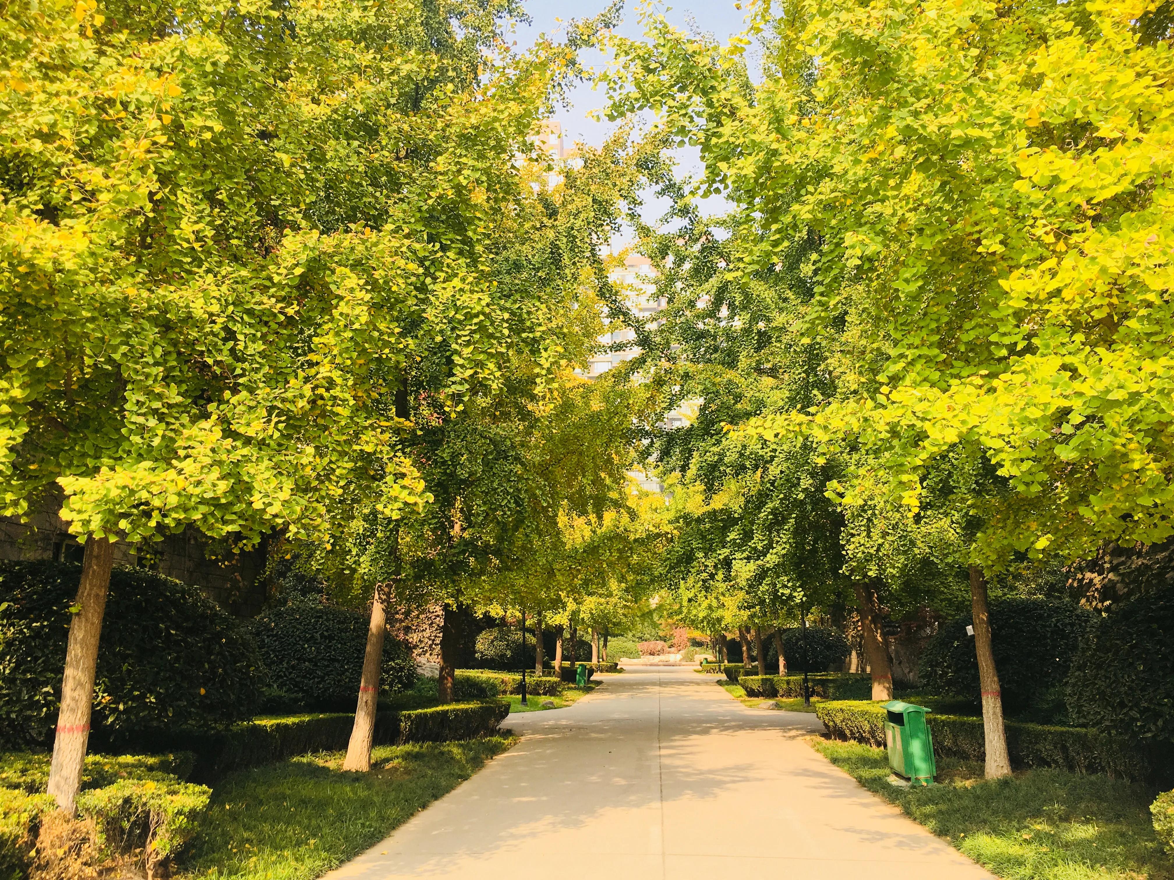群贤庄老洋房,西安群贤庄