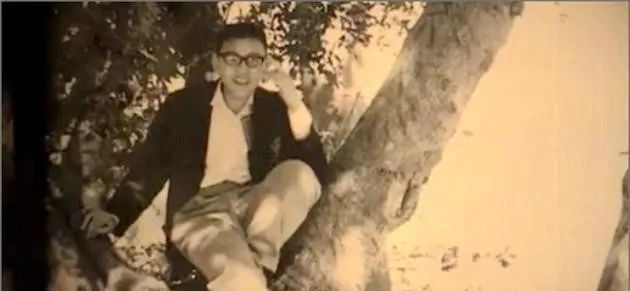 刘銮雄为什么不追林青霞,刘銮雄为什么没选洪欣