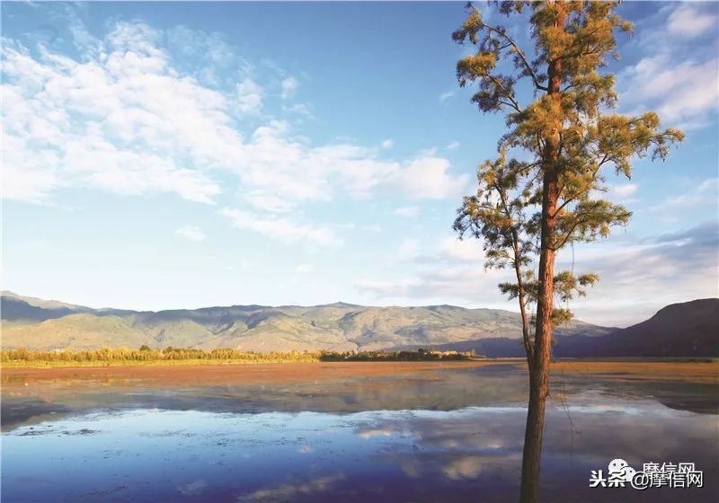 刘智远：摩托江湖的行者