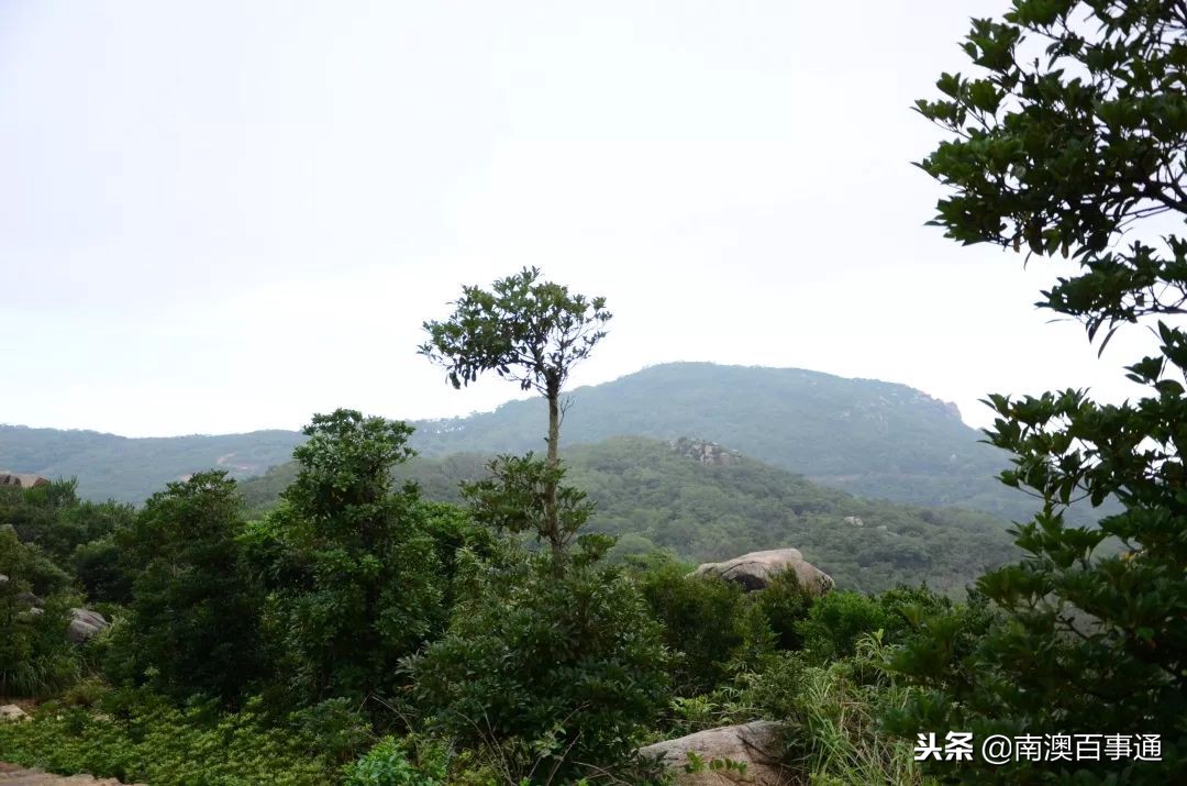 登上山顶鸟瞰全景,汕头濠江山顶看海