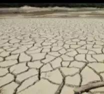 美容针知识大全,关于美容的句子大全