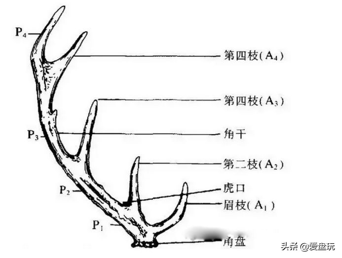 玩鹿头的人心狠手辣,那些玩羊了个羊的玩家崩溃瞬间
