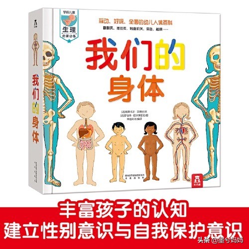 儿童绘本推荐3-6岁测评,培养孩子必读绘本