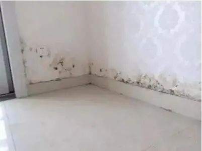 墙面泛碱脱落和受潮区别,墙面泛黄起碱什么原因
