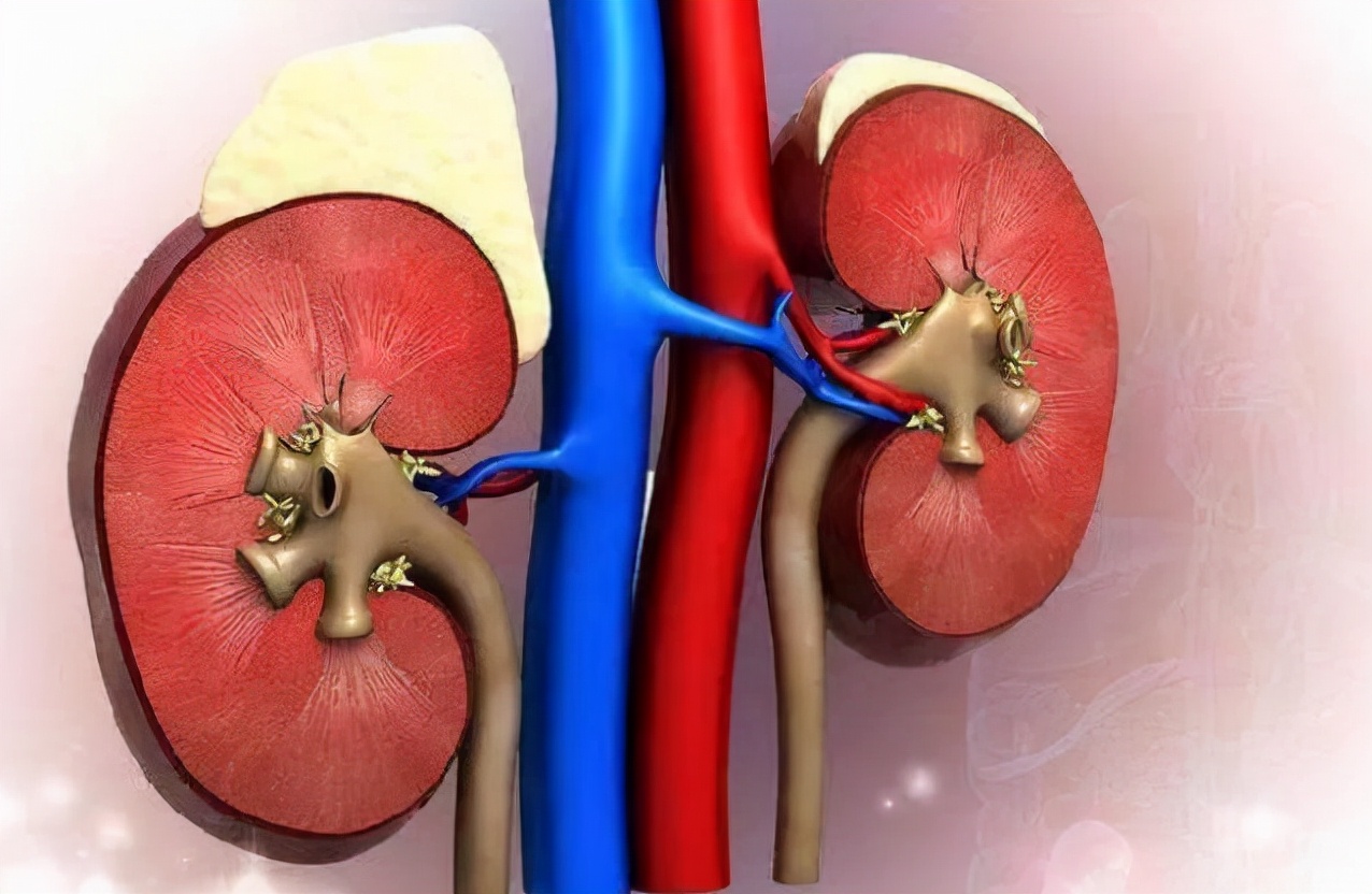 上厕所尿黄什么原因有异味,上厕所尿液黄色还有一点痛