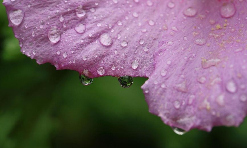 李阳民,李阳民撰七律