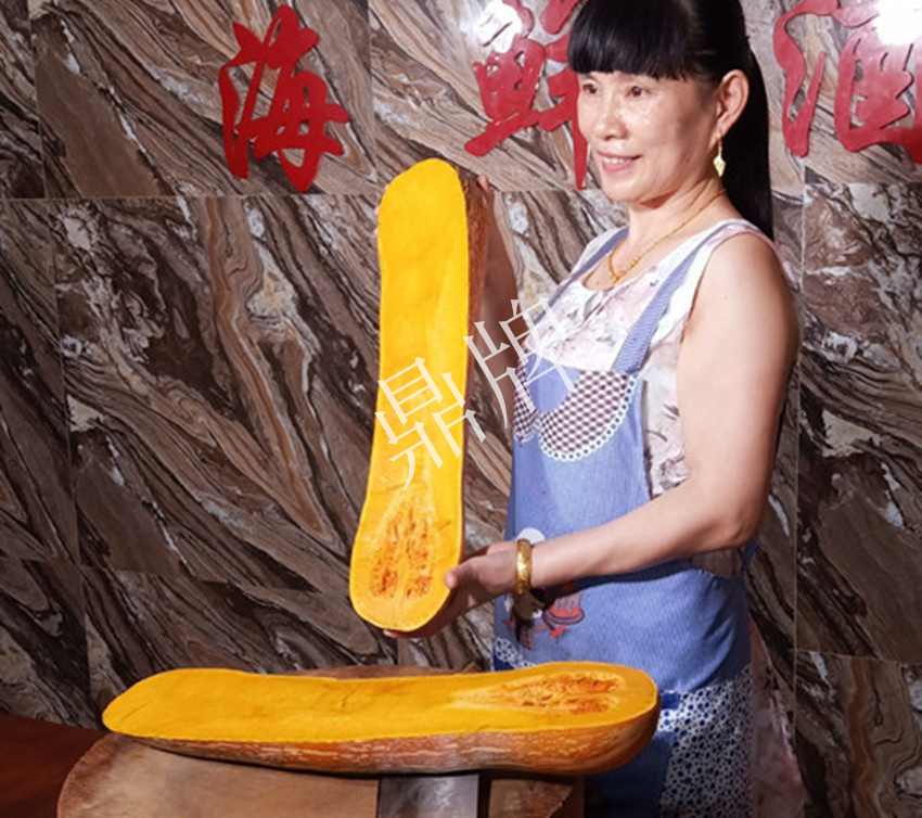 2010年的科研成就,10年潜心研究12项专利