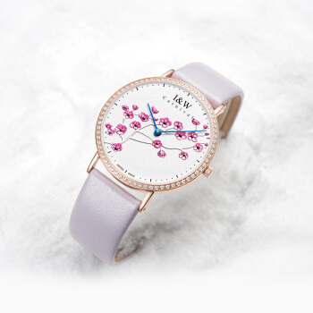 爱沃驰iw520g,爱沃驰和欧品客手表哪个好