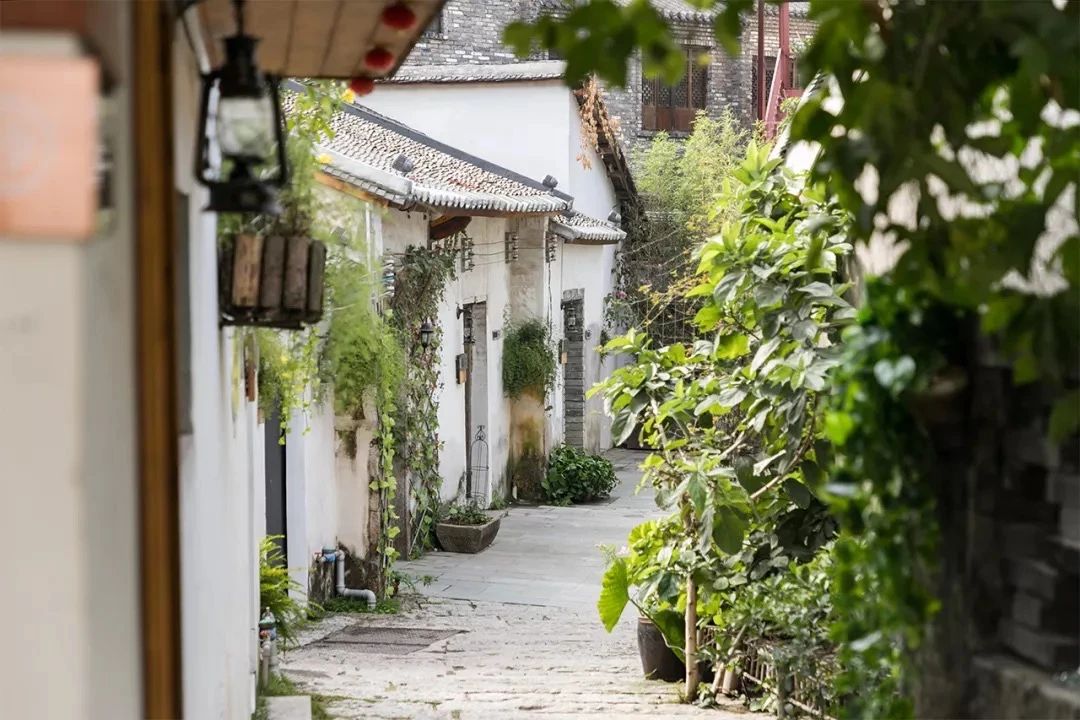 2021深圳免费适合遛娃玩地方排名,深圳免费游玩景点推荐