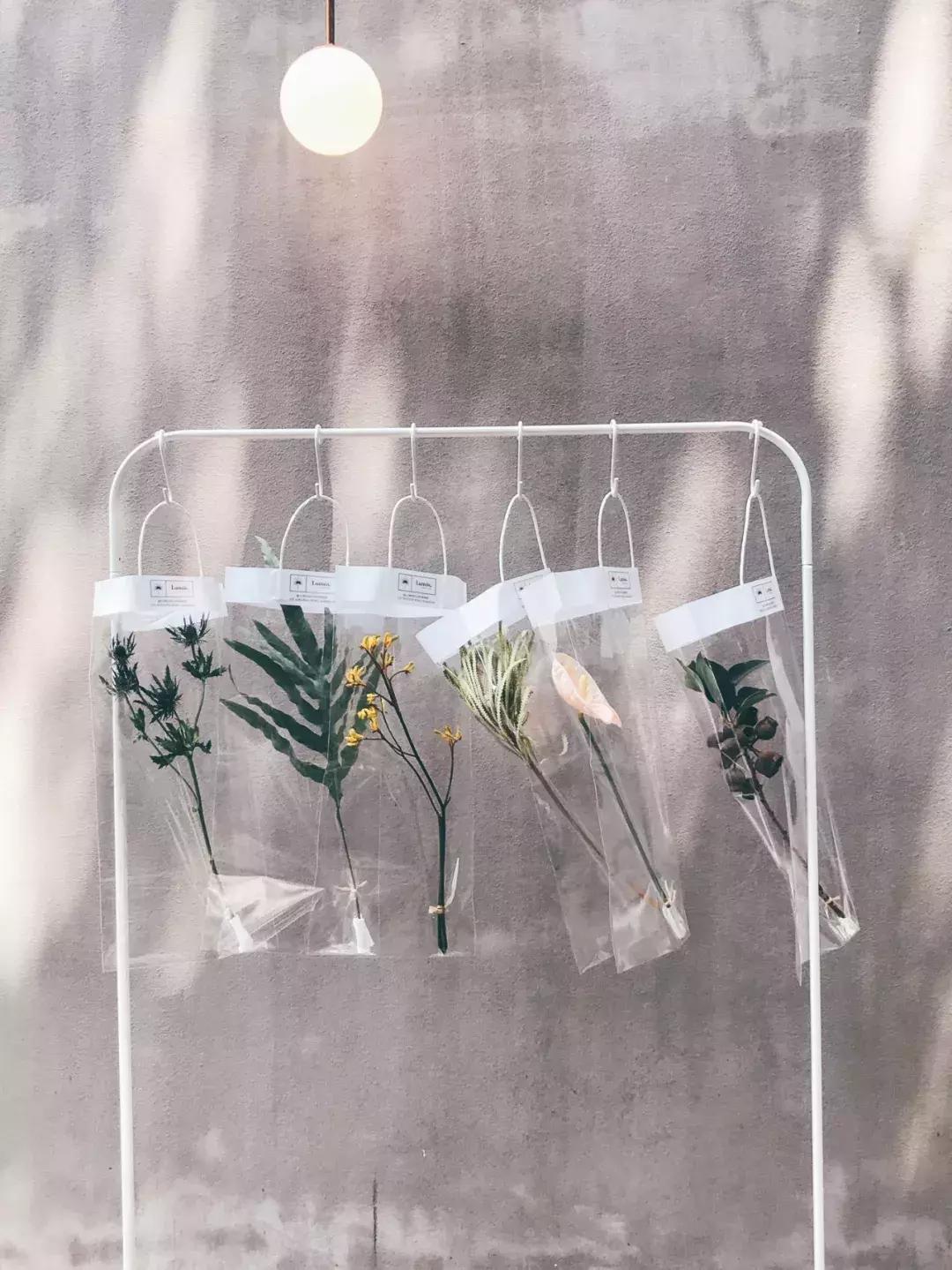 在花园里和鲜花为伴,在花店与鲜花为伴