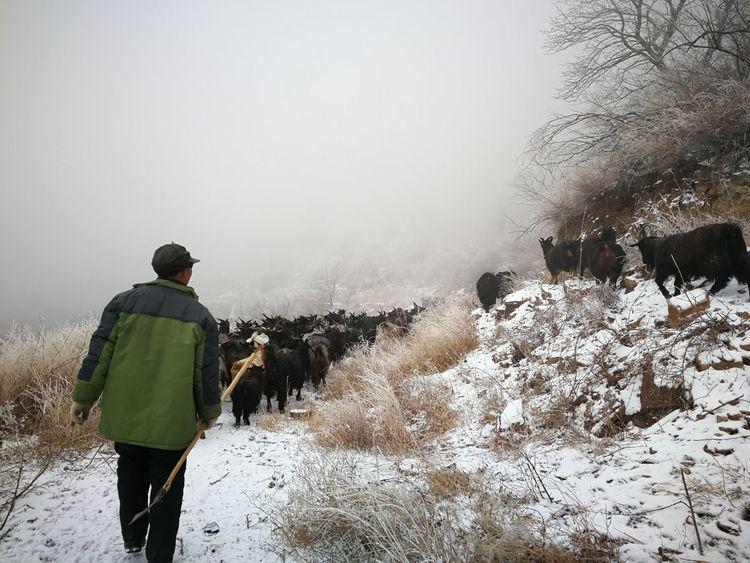 华北豹受伤后死亡警方征集线索,山西发现一只华北豹