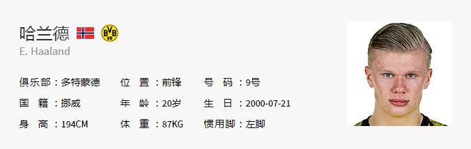 fifa鍗佸ぇ濡栫,fifa涓栫晫瓒冲潧鍗佸ぇ宸ㄦ槦鎺掑悕