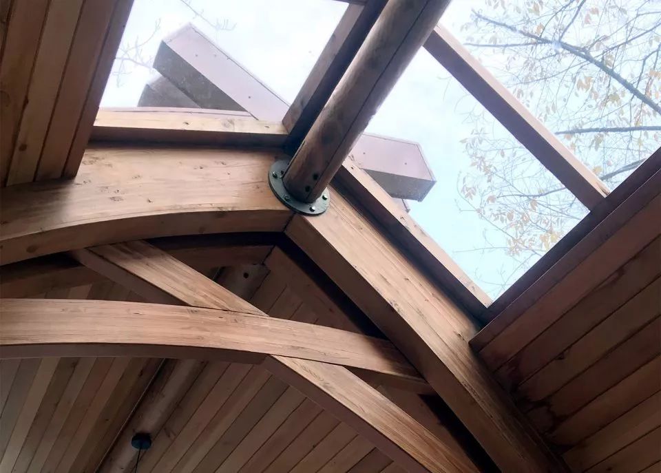 中国船和越南船对比,中国船航vs印度船航