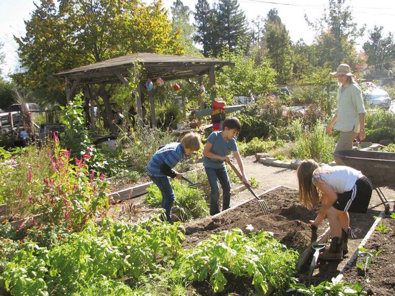 世界各地的华德福学校,华德福学校谁创建的