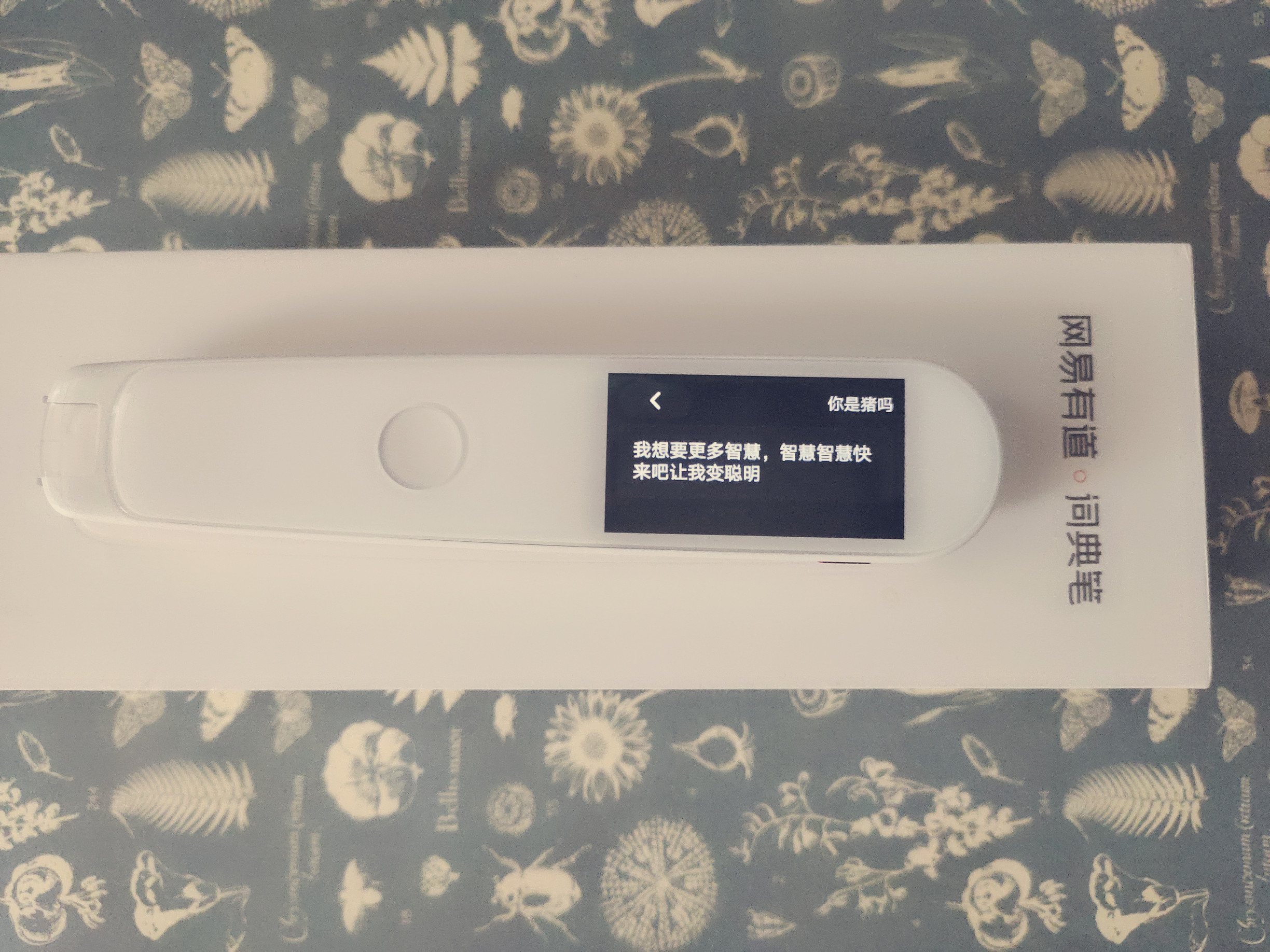 网易有道词典是一个学习的平台吗,网易有道词典2.0专业版