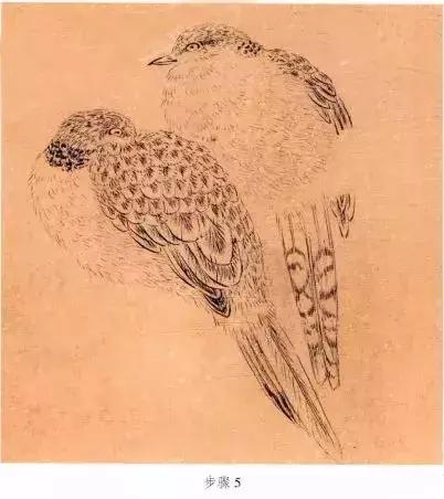 苏百钧工笔国画教学视频,苏百钧花鸟白描画稿