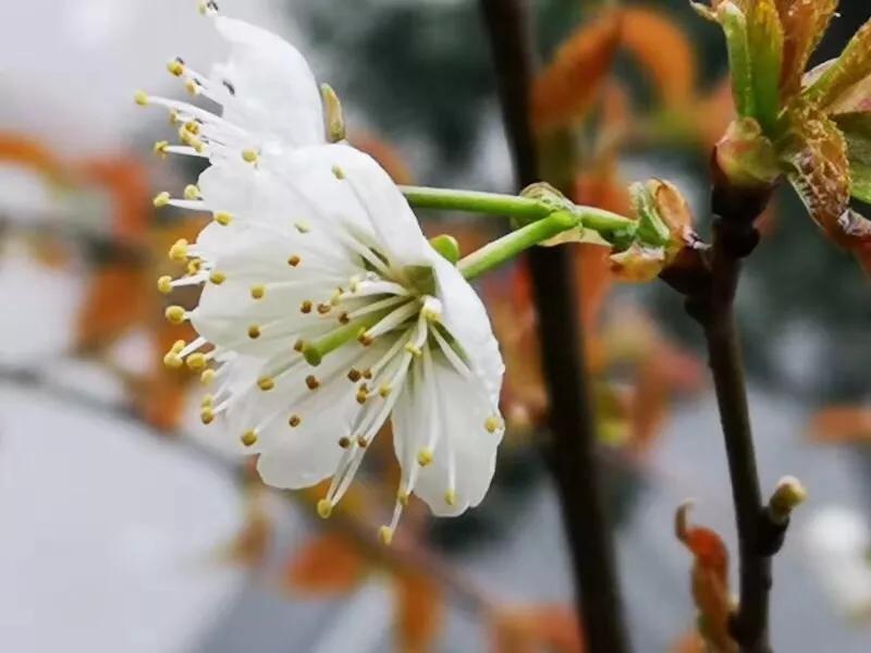 手拍世界近期作品,手拍世界微信公众号