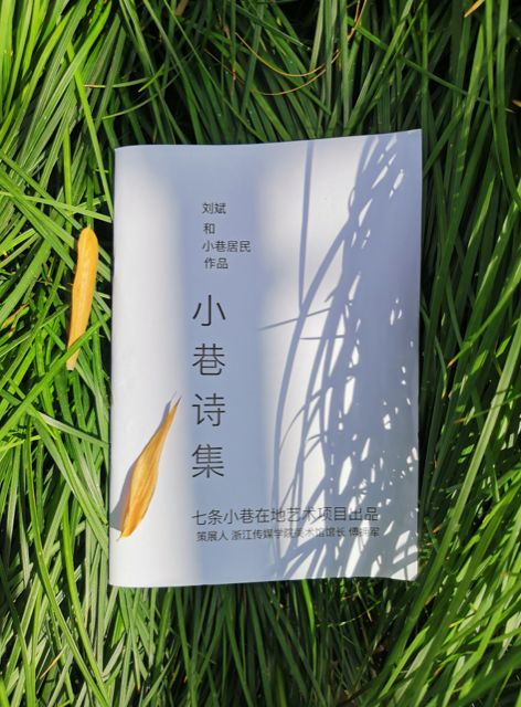 傅拥军的作品,傅拥军案例