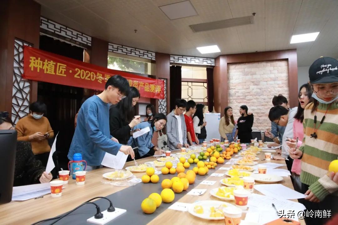 柑橘能吃出菠萝味？带你体验种植匠2020冬季柑橘橙测评