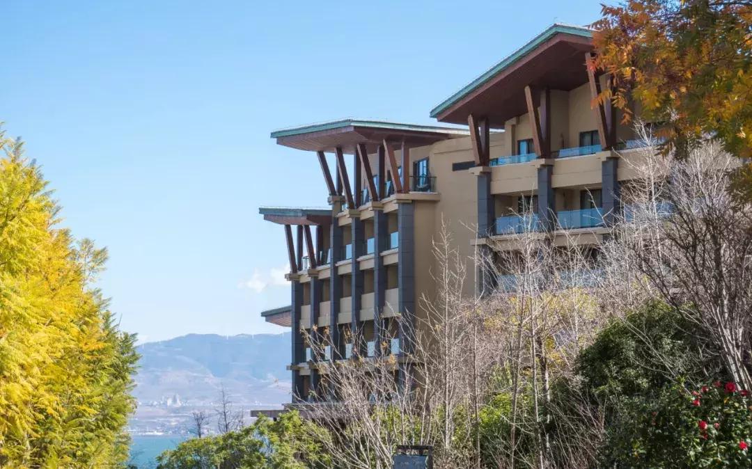 大理希尔顿酒店最新招聘,大理实力希尔顿酒店