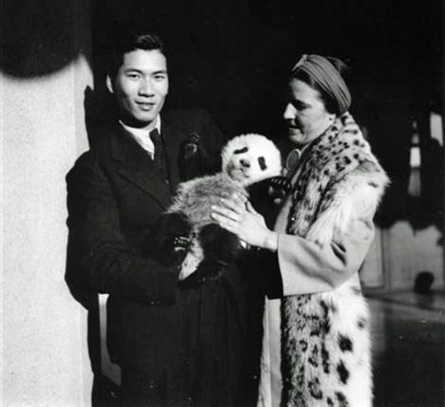 1939年被偷到英国的大熊猫,美国人偷走大熊猫后续