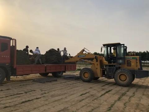 寿北大草原,我们来啦!---探访飞燕草坪寿光双王城基地